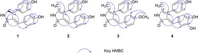 Phenylpropanoid amides from Solanum rostratum and their phytotoxic activities against Arabidopsis thaliana